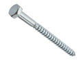 Coach Screws