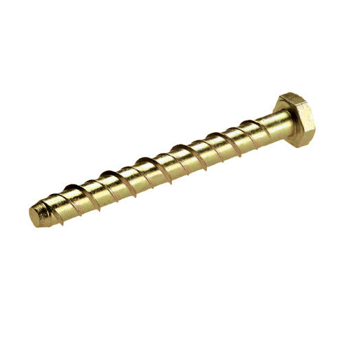 Hex Head Thunderbolts Screws