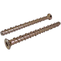 Torx Head Thunderbolt Screws
